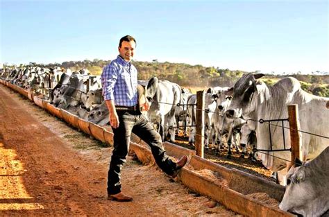 A Protestos de Jantar do Fazendeiro; Uma Desigualdade Agrícola que Abalou a Índia Moderna